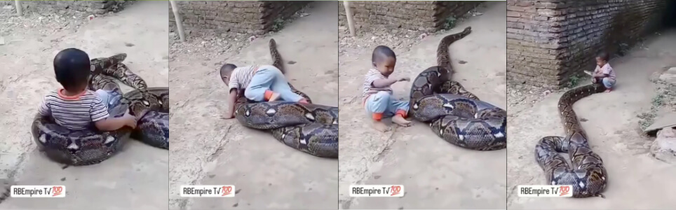 
                        初生牛犊不怕虎，这话一点不假，家长也是狠人呐！                     thumbnail