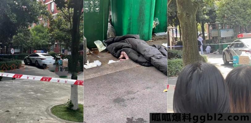 四川拖普信息技术学院 学生在校生娃后 丢垃圾桶震惊全网  thumbnail