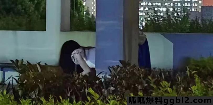【网友投稿】湖工职业技术学院 小情侣在图书馆旁边野战 后入被校友拍下来了 thumbnail