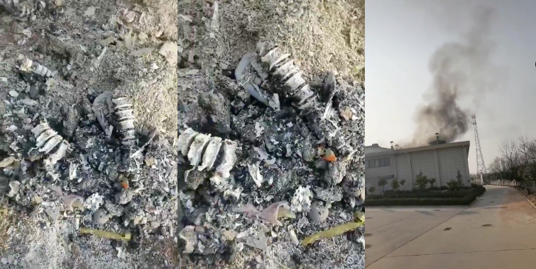 河南省驻马店香山火葬場场视频流出,人没烧完,就直接倒进垃圾坑,我特么也是醉了~                     thumbnail