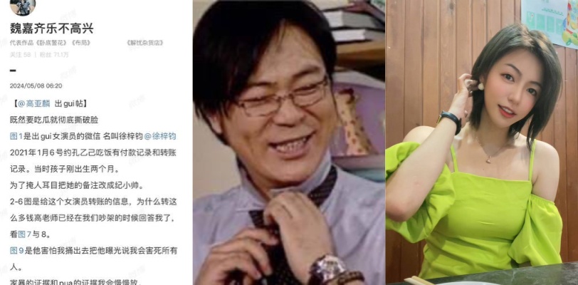 娱乐圈大瓜！知名男星 《家有儿女》夏东海扮演者高亚麟 被妻子魏嘉曝光孕期出轨并家暴 大量聊天转账记录被曝光！ thumbnail
