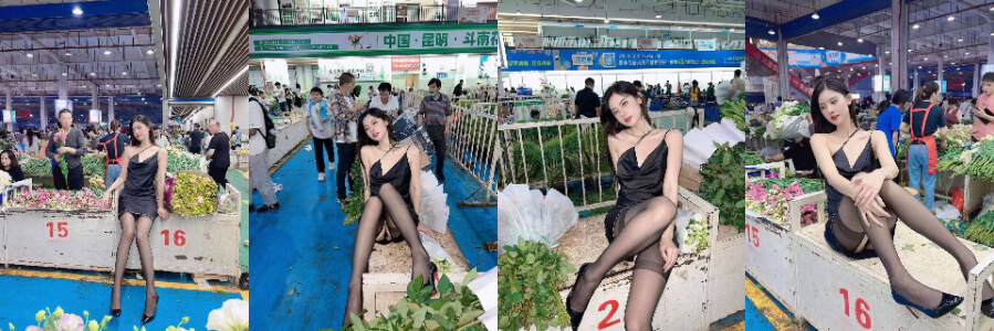 网红 #阿朱 来云南昆明 #斗南花卉市场 了,还是一如既往的骚气十足!                     thumbnail